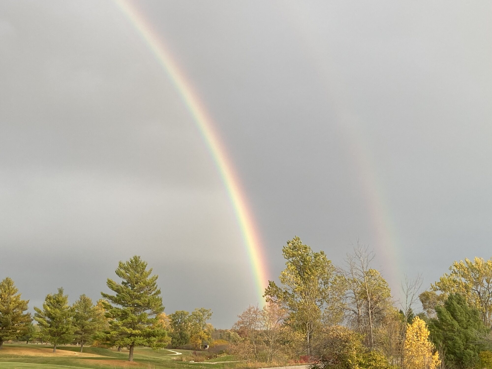 website pic Double rainbow over trees and cloudy sky.